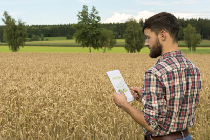 Usos del big data en l'agricultura