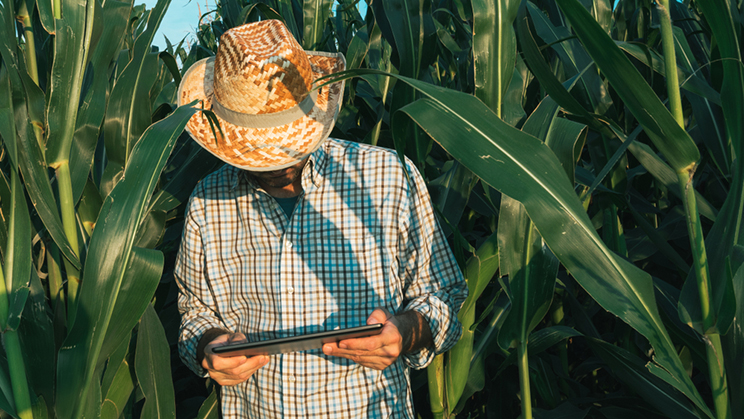 La transformación digital llega a la agricultura