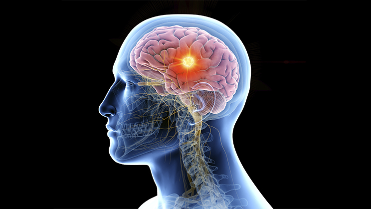 Gimnàstica mental: aprendre coses noves ajuda el teu cervell