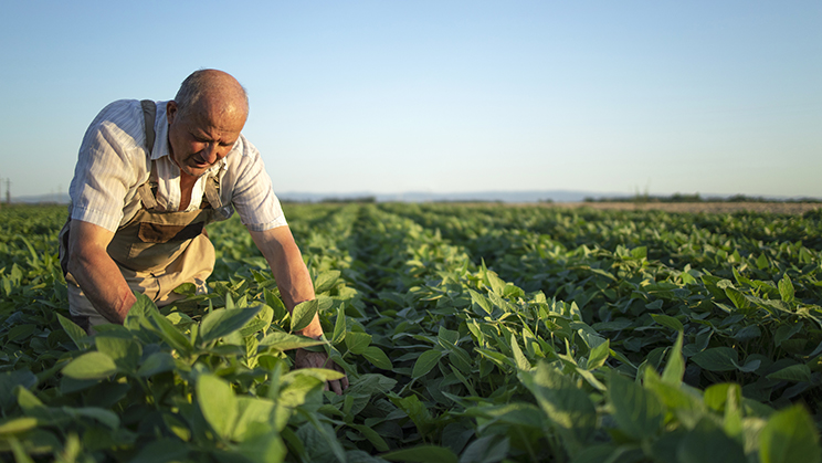 Más de 1.000 millones de fondos Next Generation para transformar el sector agroalimentario