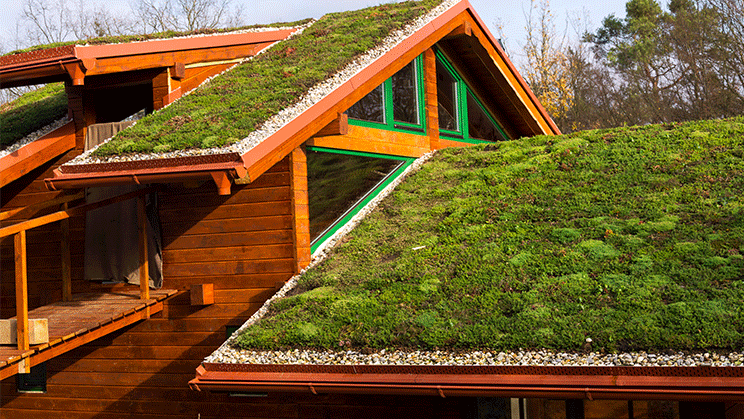 Cubiertas verdes: aislar tu casa puede comenzar por el tejado