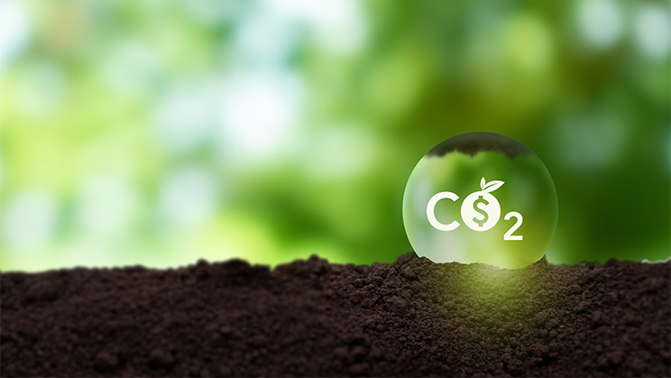 Créditos de carbono: así funciona el mercado de compensación de emisiones
