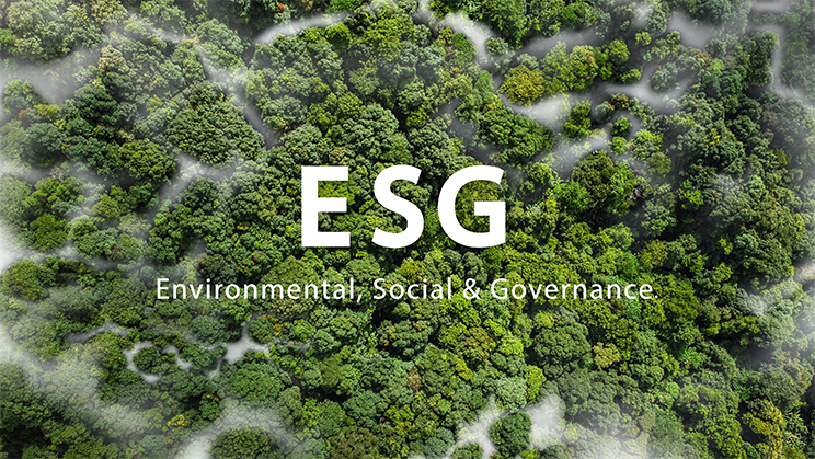 IBEX ESG: els índexs per invertir de manera sostenible