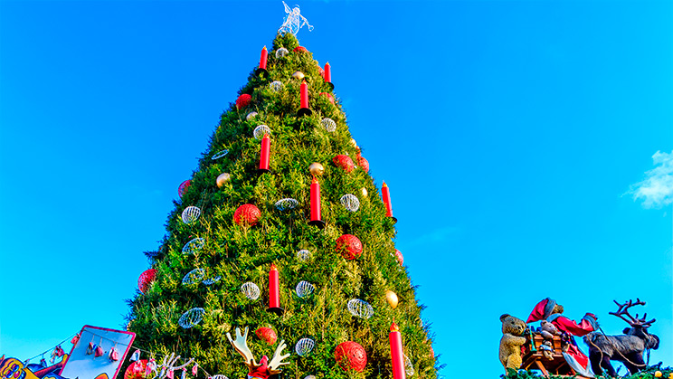 Granada: el árbol de Navidad más alto de España en 2024